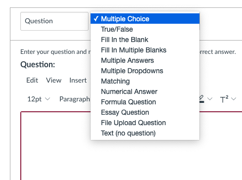 Image of Canvas drop down options for auto-graded problems, including multiple choice, true/false, fill in the blank, and more.